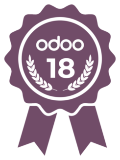 Certification  Sample Test Odoo 18